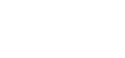 Ideal-X